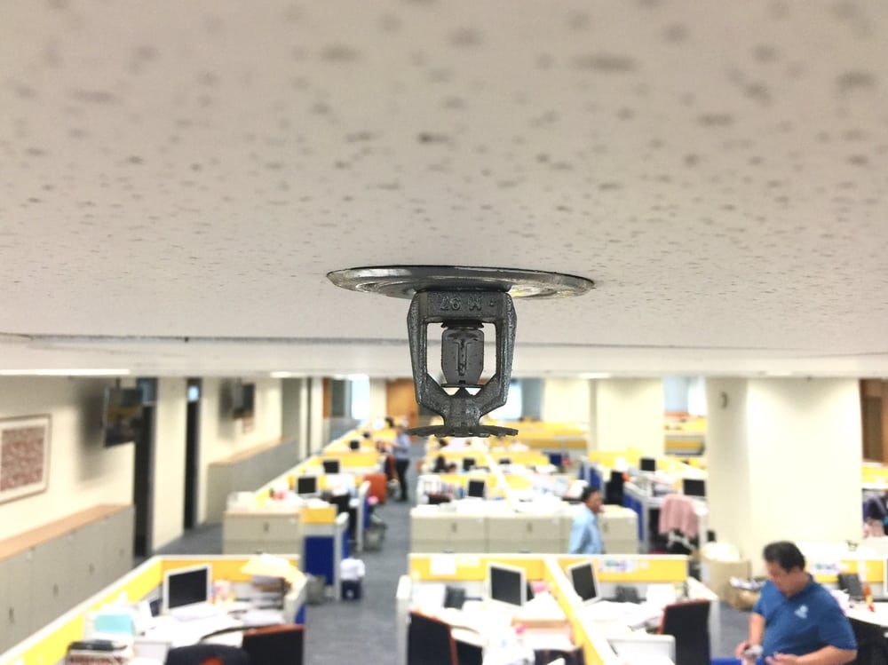 Concealed Sprinkler